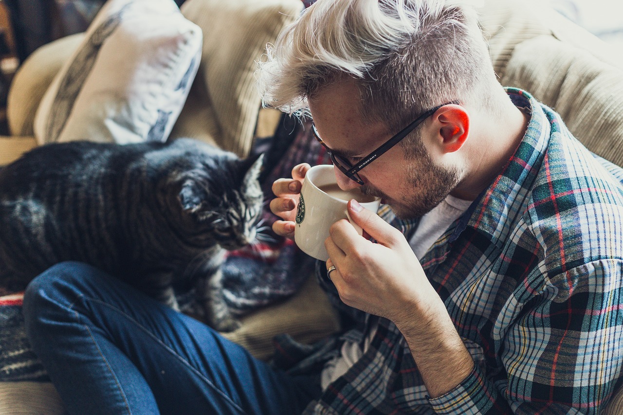 Katzen und ihre Lieblingsspielzeuge