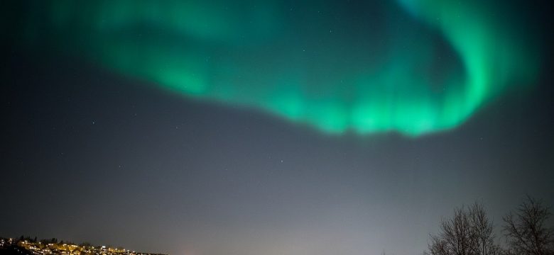 Die schönsten Parks und Grünflächen in Hamburg