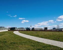 Berlin für Naturliebhaber: Parks und Gärten