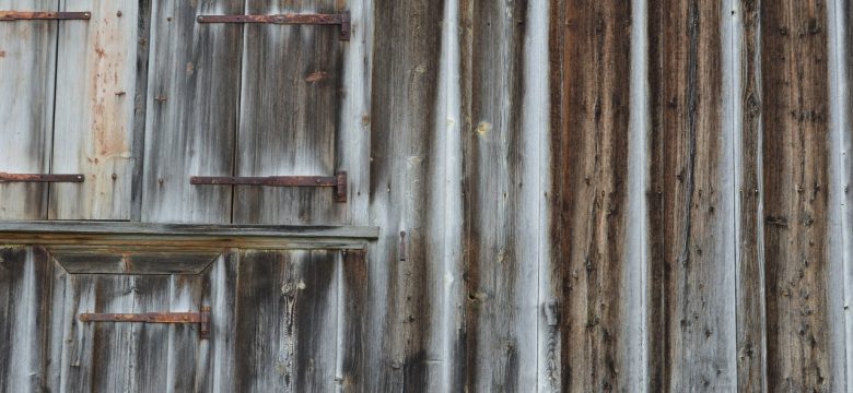 Böhlen: Ein Paradies für Radfahrer