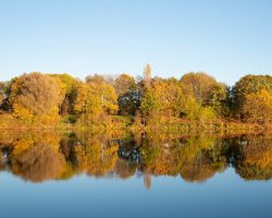 Bochum im Herbst: Die besten Aktivitäten für die bunte Jahreszeit