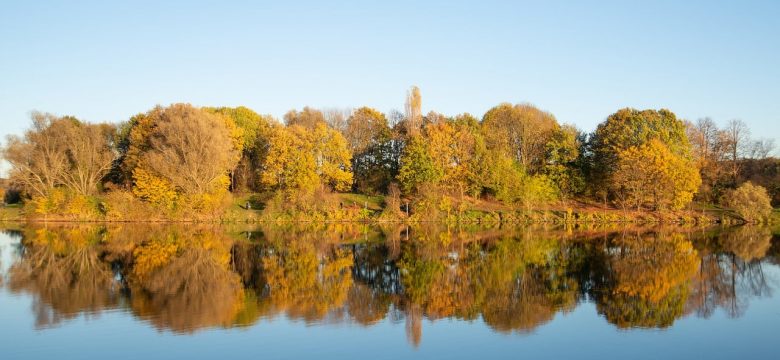 Bochum im Herbst: Die besten Aktivitäten für die bunte Jahreszeit