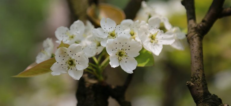 Bochum für Zoomers: Die besten Tipps und Tricks, um Ihre Reise zu zoomen