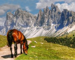 Bochum für Naturliebhaber: Die besten Wanderwege und Naturschutzgebiete der Stadt