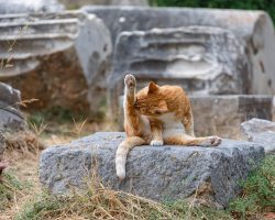 Böhlen: Die besten Geheimtipps für Besucher